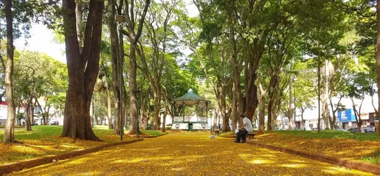 Praça da República / Jardim de Baixo