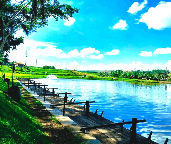 Pesqueiro Boa Vista